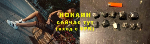 твердый Осташков