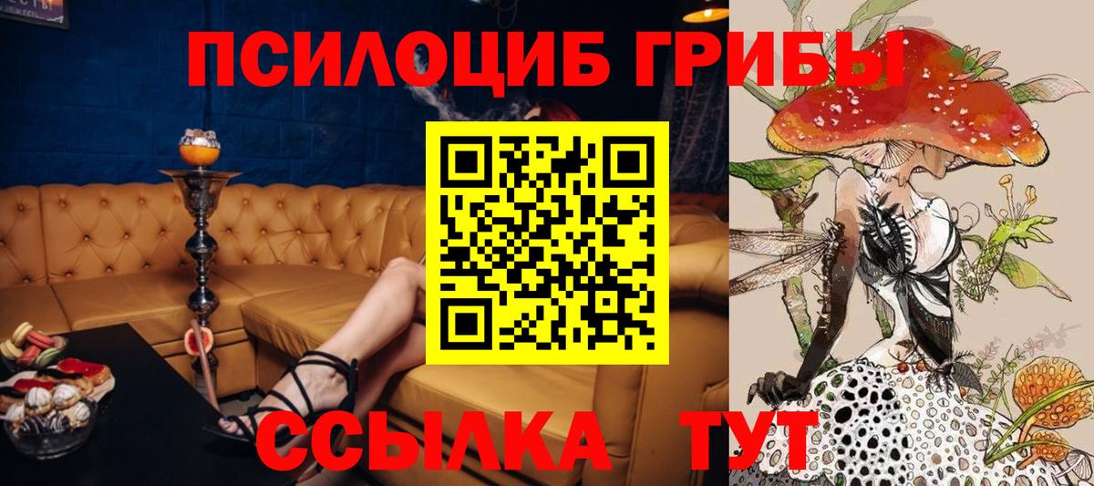 Псилоцибиновые грибы Psilocybe  Апшеронск 