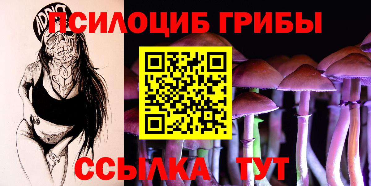 Галлюциногенные грибы прущие грибы Апшеронск