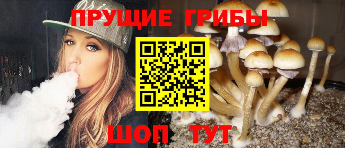 Галлюциногенные грибы ЛСД Апшеронск