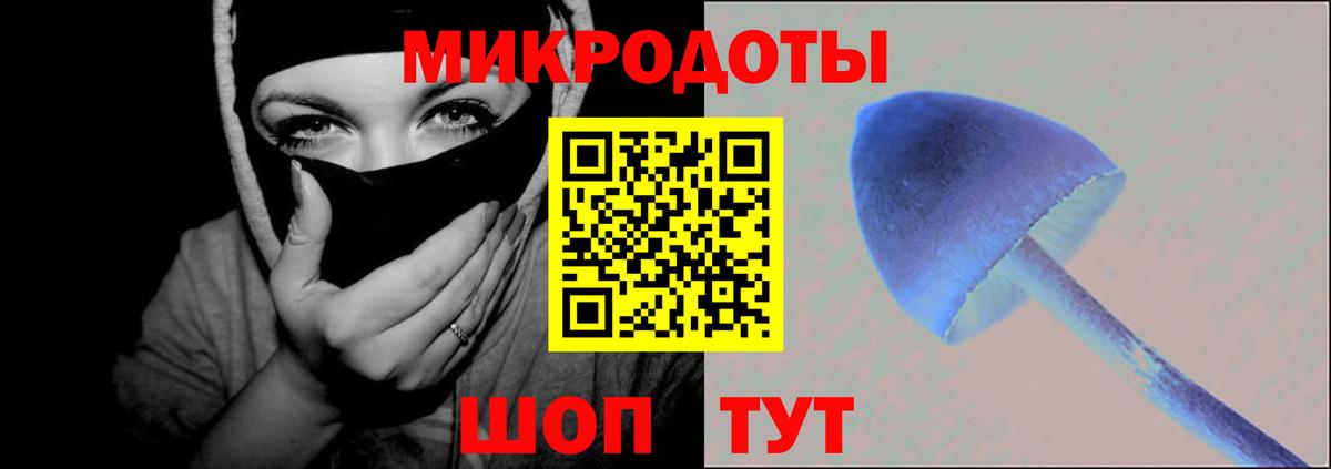 Псилоцибиновые грибы ЛСД  Вход с VPN  Псилоцибиновые грибы Psilocybine cubensis  купить наркотик  Апшеронск 